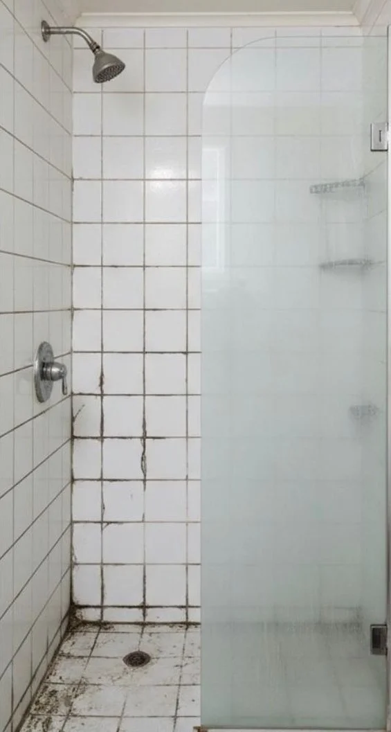 Bathroom shower tile with dirty grout before a cleaning in Tampa, FL