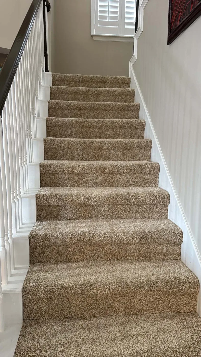 Clean carpeted staircase in a Tampa, FL home